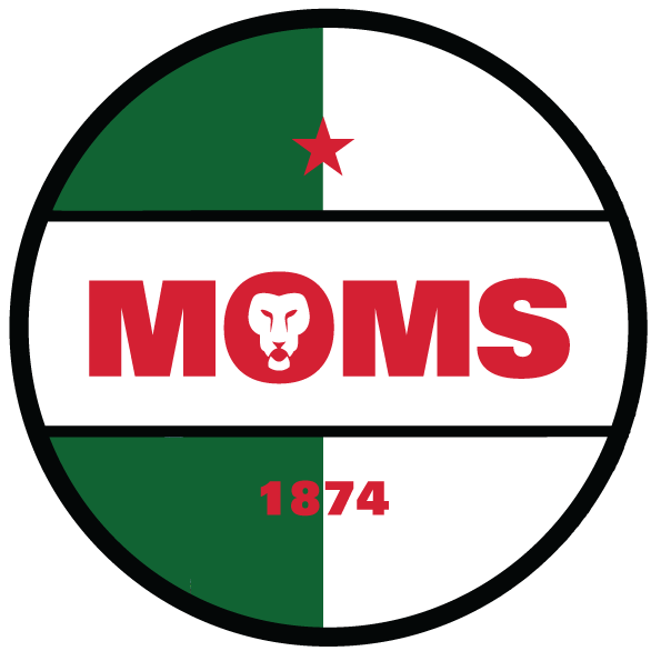 algeria world cup badge